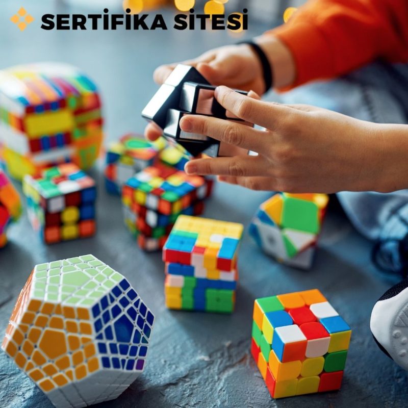 Akıl ve Zeka Oyunları Uygulayıcı Eğitimi Sertifikası