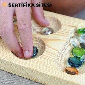 Akıl Zeka Oyunları Eğitimi Sertifikası