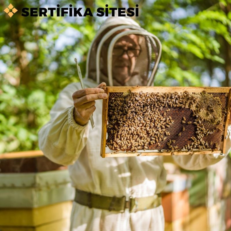 Arıcılık Eğitimi Sertifikası