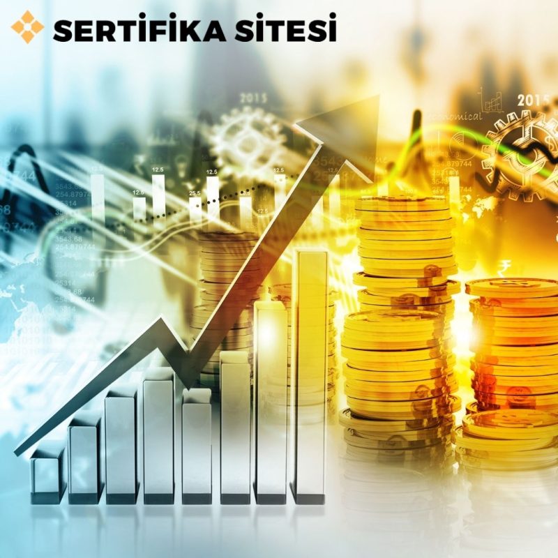 Finansal Okuryazarlık Eğitimi Sertifikası