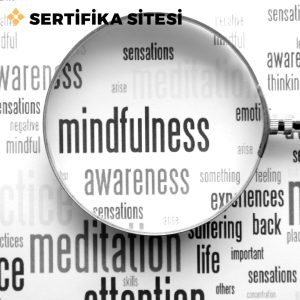 Mindfulness Uygulayıcı Sertifikası