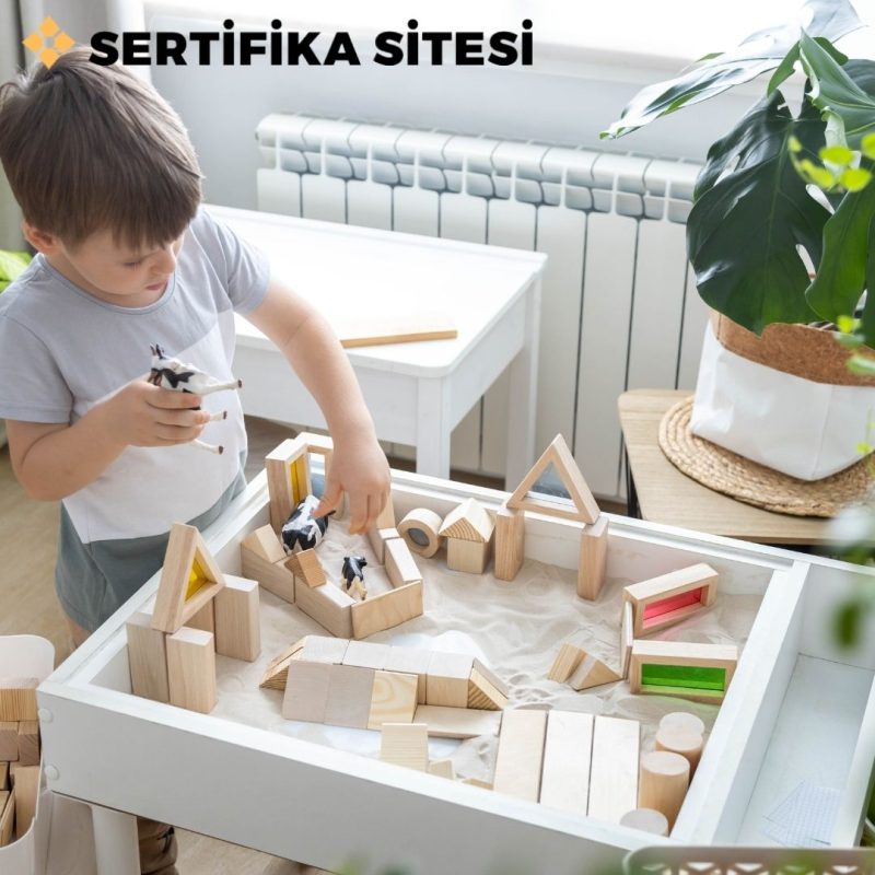 Montessori Eğitimi Sertifikası