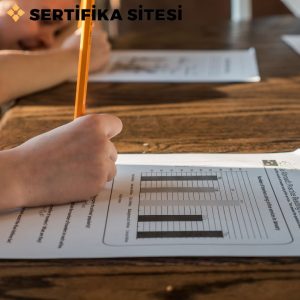 WISC-R Zeka Testi Eğitimi Sertifikası