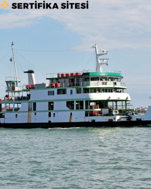 Deniz Turizmi Araçları Su Üstü Sporları İşletmeciliği Sertifikası