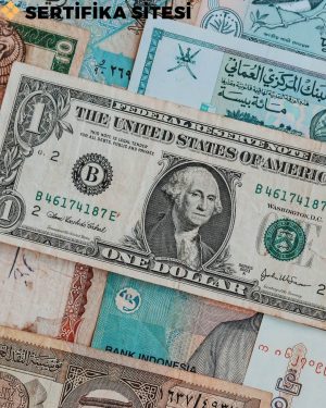 Diş Ticaret Ofis Hizmetleri Elemanı Sertifikası