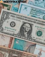 Dış Ticaret Uzmanlık Eğitimi Sertifikası