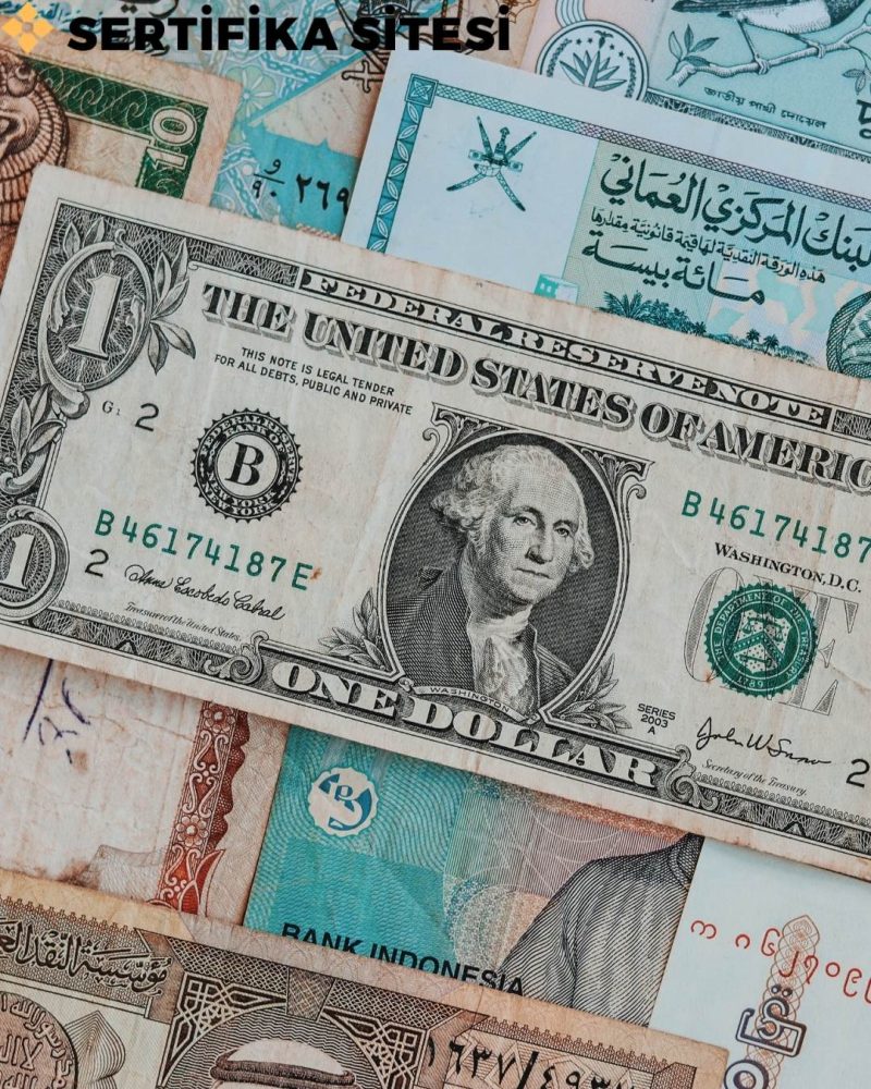 Dış Ticaret Uzmanlık Eğitimi Sertifikası