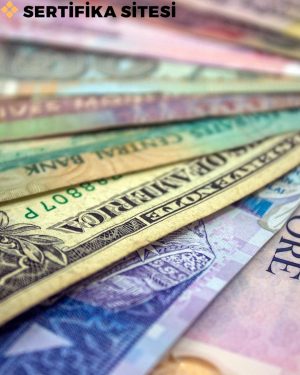 Dış Ticaret Yönetimi Eğitimi Sertifikası