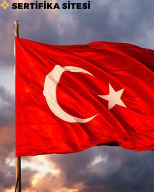 Doğru Türkçe Kullanımı Eğitimi Sertifikası