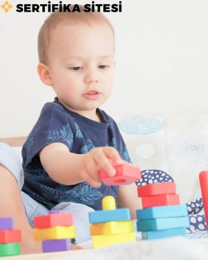 Erken Çocuklukta Gelişimsel Risk (0-36 Ay) Sertifikası