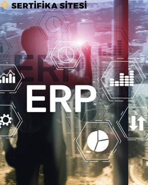 ERP Sistemlerine Giriş Geliştirme ve Uyum Eğitimi Sertifikası