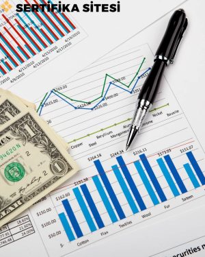 Finansal Astroloji Eğitimi Sertifikası