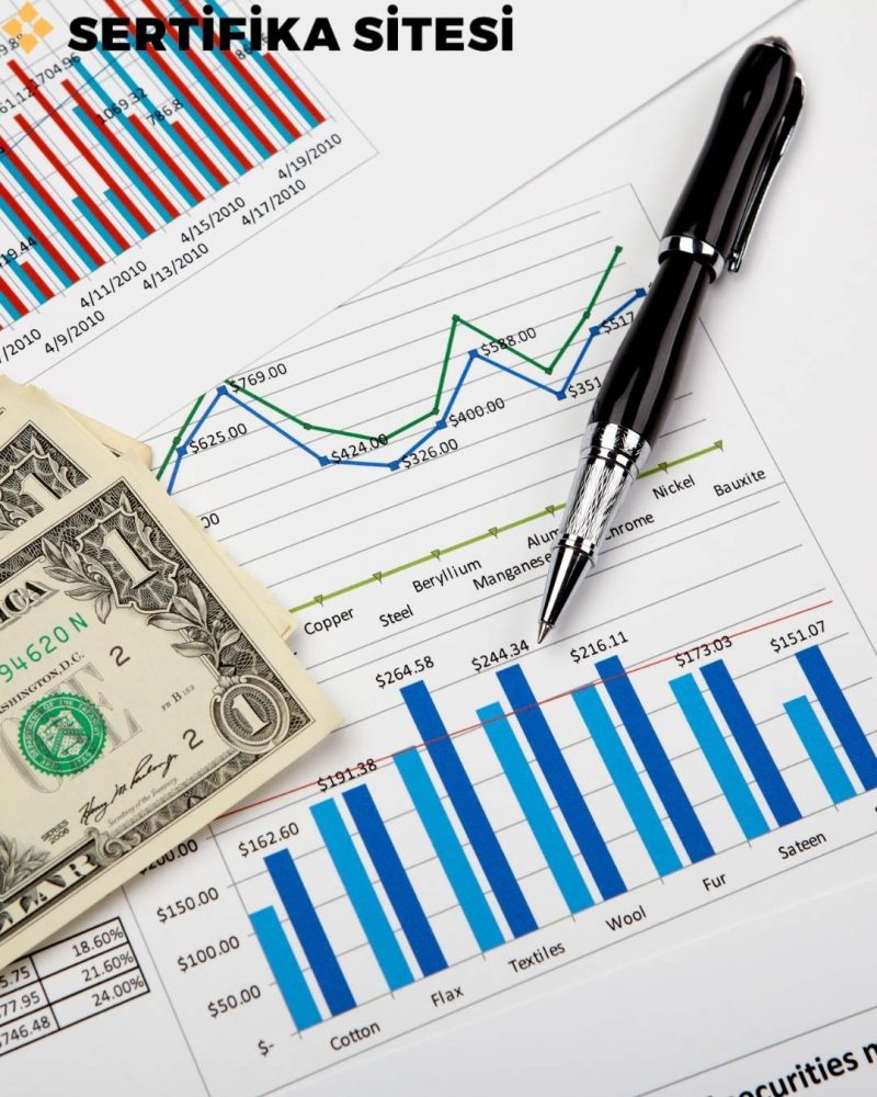 Finansal Astroloji Eğitimi Sertifikası