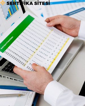Finansal Tablolar Geliştirme ve Uyum Eğitimi Sertifikası