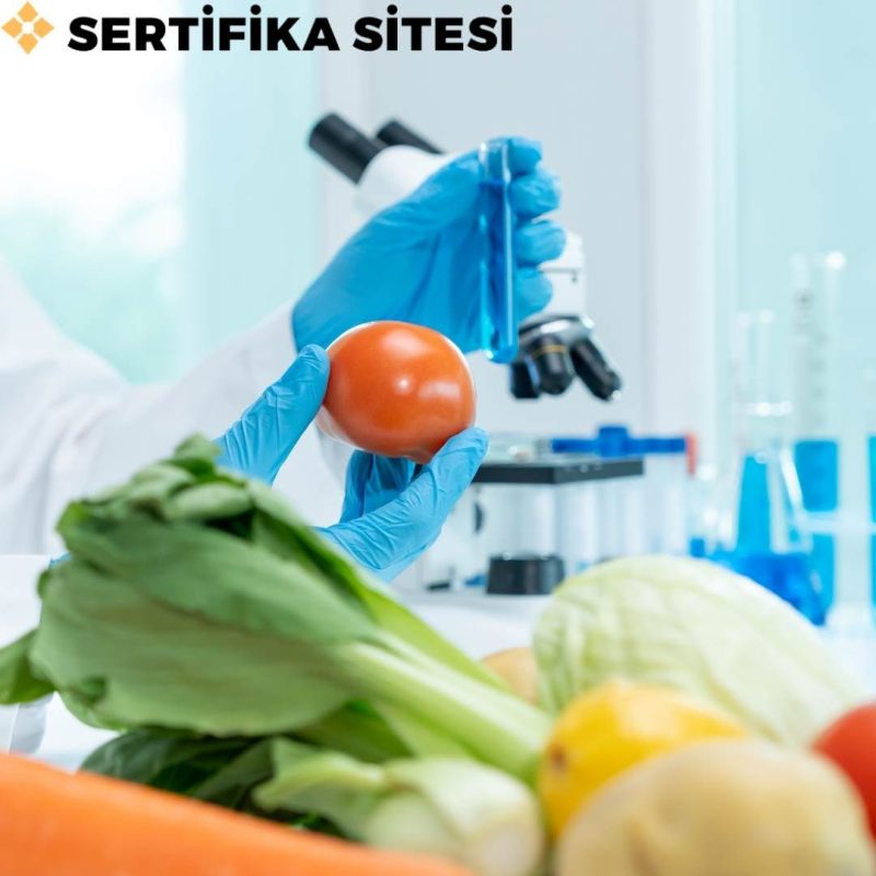 ISO 22000:2018 İç Denetçi Eğitimi Sertifikası