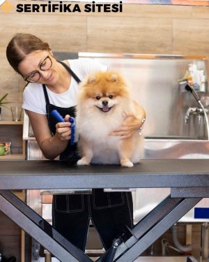 Köpekçilik Kâhyası Sertifikası