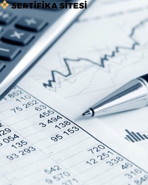 Mesleki İngilizce (Muhasebe ve Finansman / Bilgisayarlı Muhasebe) Sertifikası