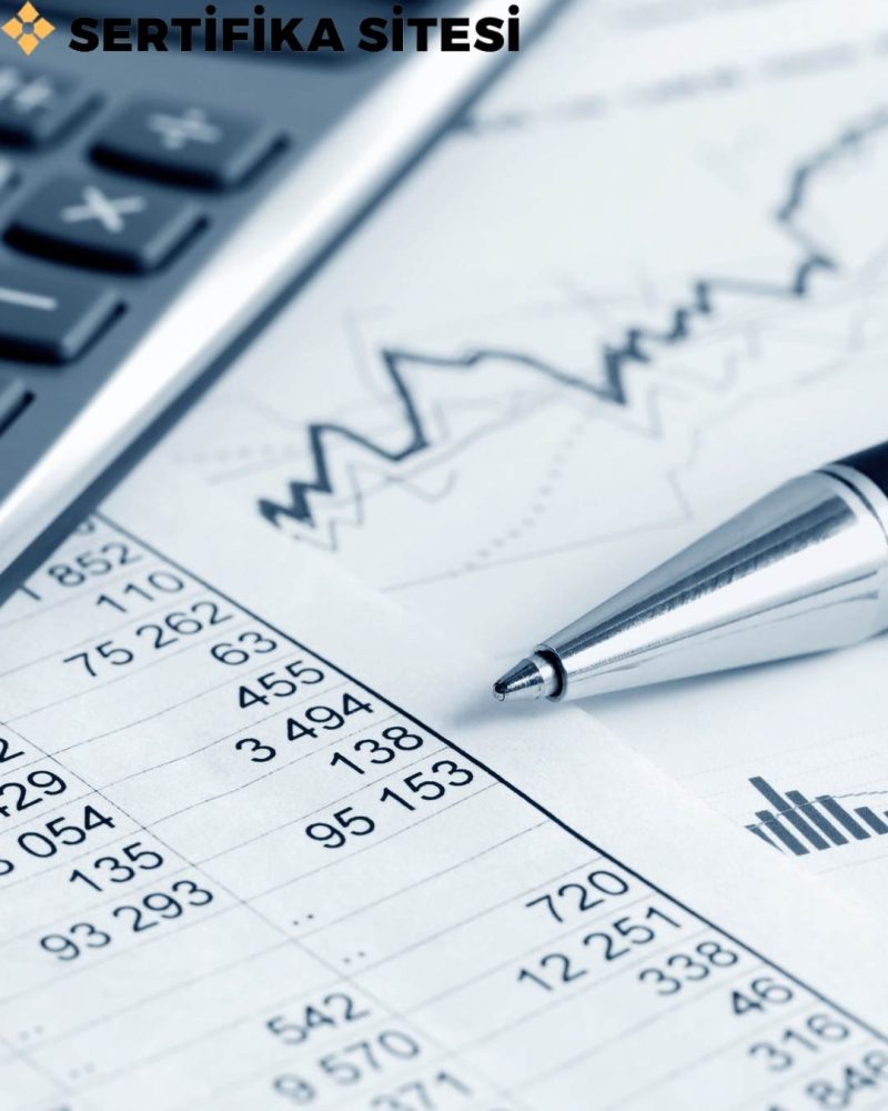 Mesleki İngilizce (Muhasebe ve Finansman / Bilgisayarlı Muhasebe) Sertifikası