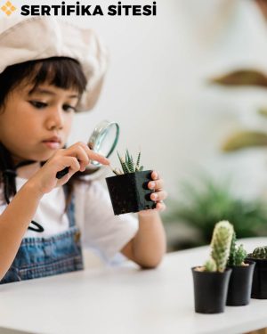 Montessori Sertifikası