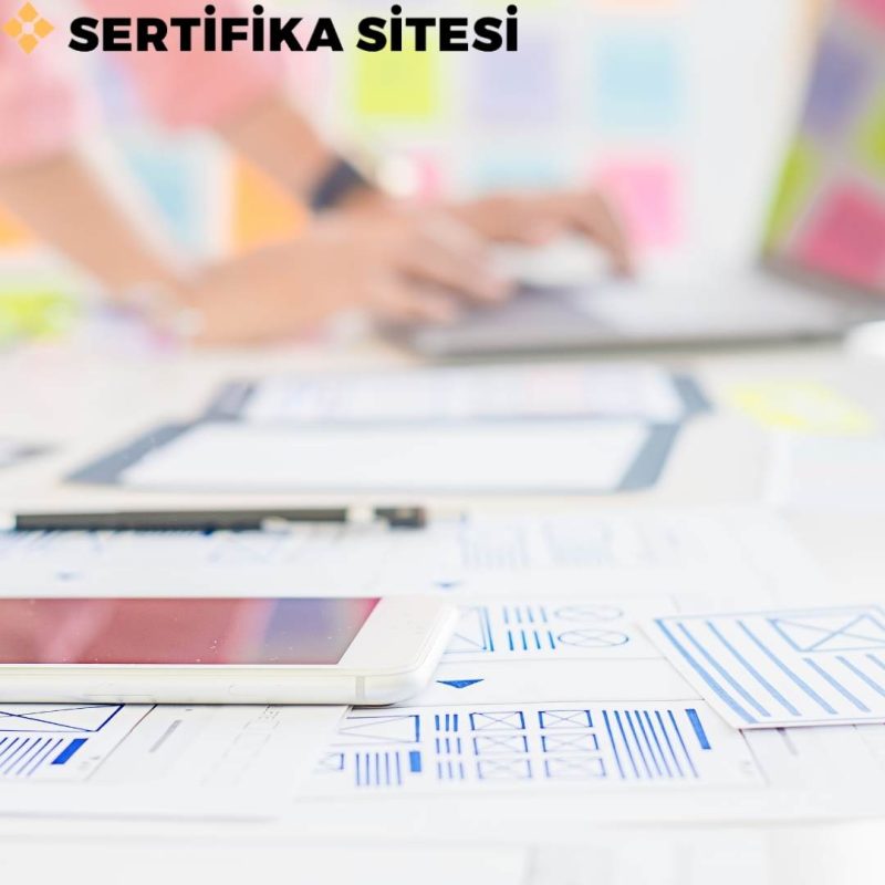 Ms Office Programları Eğitimi Sertifikası