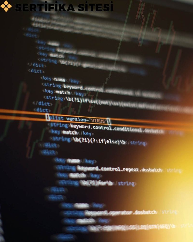 Muhasebede SQL Tabanlı Program Kullanma - ETA SQLS Geliştirme ve Uyum Eğitimi Sertifikası