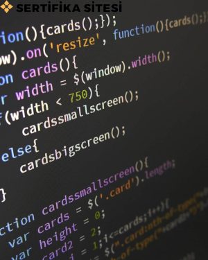 Nesneye Dayalı Programlama - C# Geliştirme ve Uyum Eğitimi Sertifikası