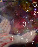 Numeroloji Eğitimi Sertifikası