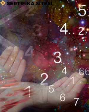 Numeroloji Eğitimi Sertifikası