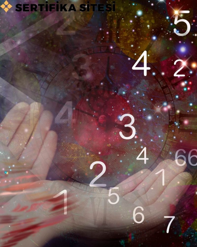 Numeroloji Eğitimi Sertifikası