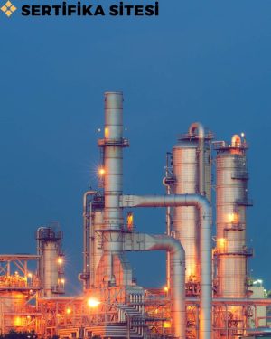 petrol petrokimya elemanı sertifikası