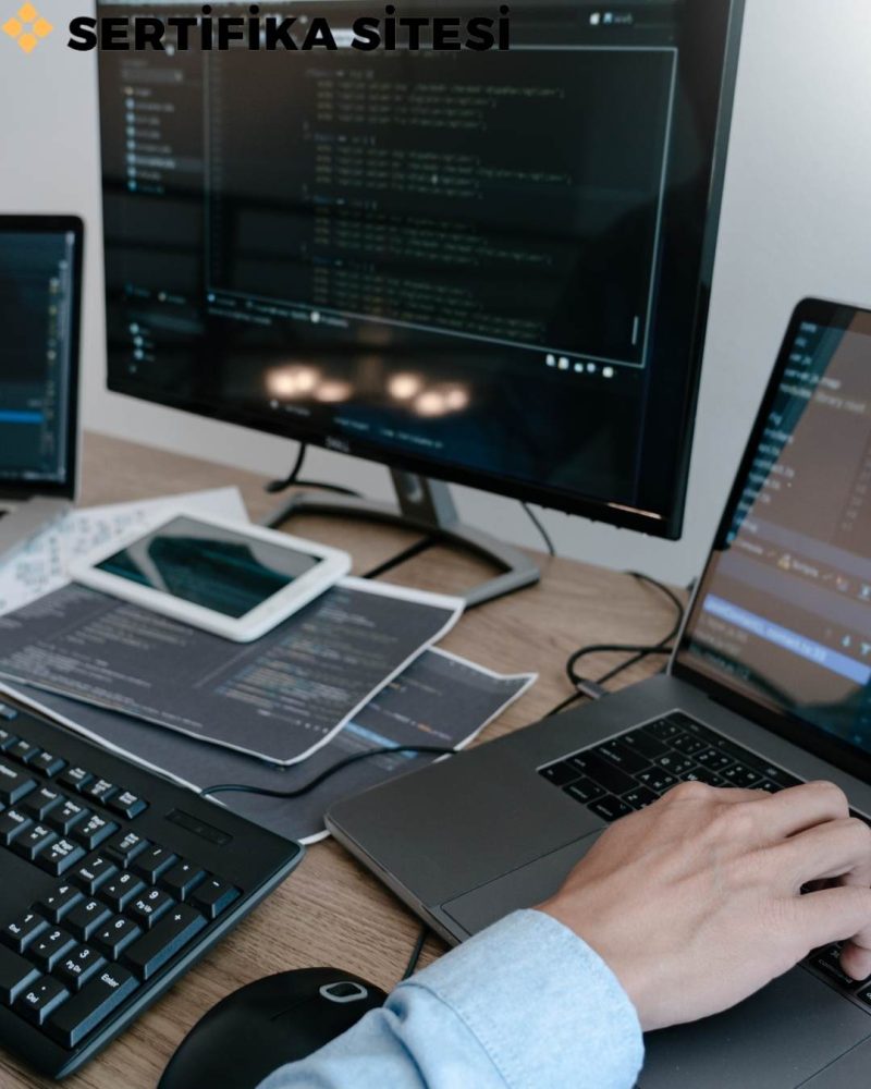 Programlanabilir Mikro Bilgisayar ile Programlama Geliştirme ve Uyum Eğitimi Sertifikası