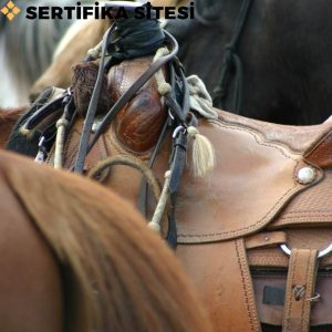 Semercilik Sertifikası