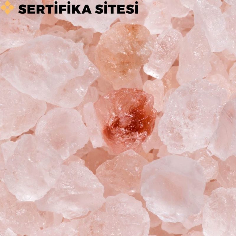 Tuz Kristalleriyle Tel İskelet Kaplama Sertifikası