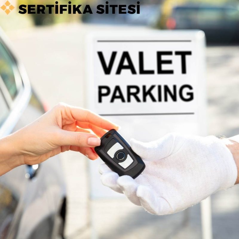 Vale Eğitimi Sertifikası