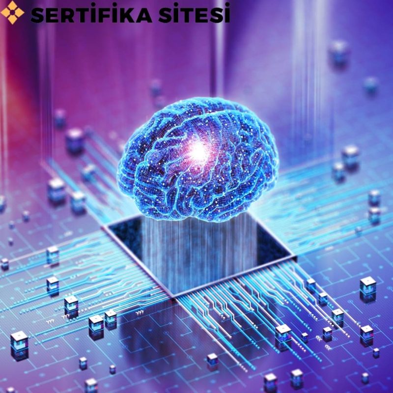 Yapay Zeka Eğitimi Sertifikası