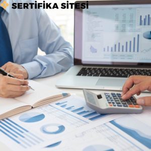 Yazılım Tabanlı Muhasebe Geliştirme ve Uyum Eğitimi Sertifikası