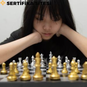 Zihin Zeka Oyunları Eğitimi Sertifikası